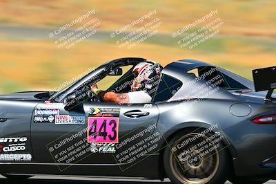 media/Sep-07-2024-Extreme Speed (Sat) [[dfc0b31d10]]/Green Group/Session 3-Turn 14/